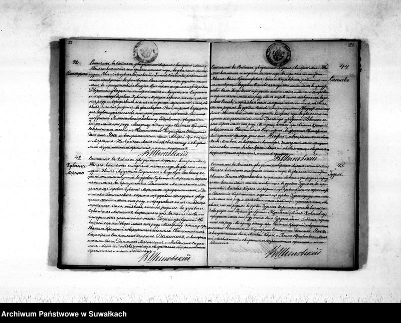 Obraz 14 z jednostki "Duplikat aktov rodivšichsja, brakosočetavšichsja i umeršich vejsejskogo rimsko-katoličeskogo prichoda na 1875 god"