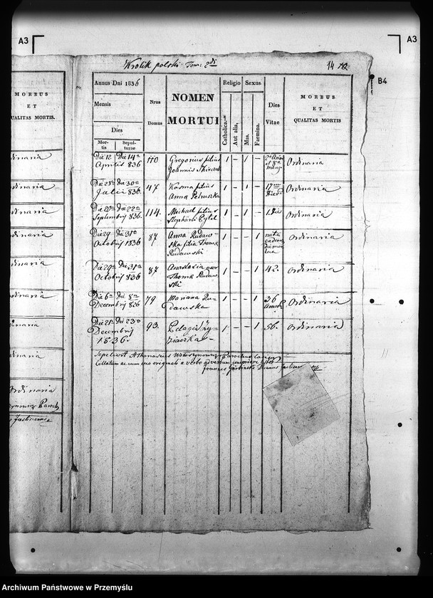 Obraz 20 z jednostki "[Kopie ksiąg metrykalnych parafii Królik Wołoski z filią Królik Polski (dekanat Rymanów)]"