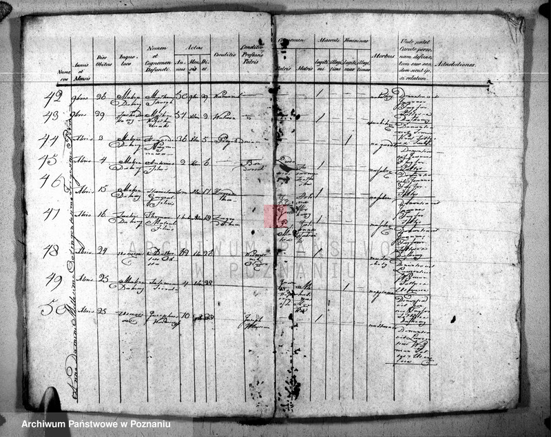 image.from.unit.number "Duplikat urodzonych, zaślubionych, zmarłych"
