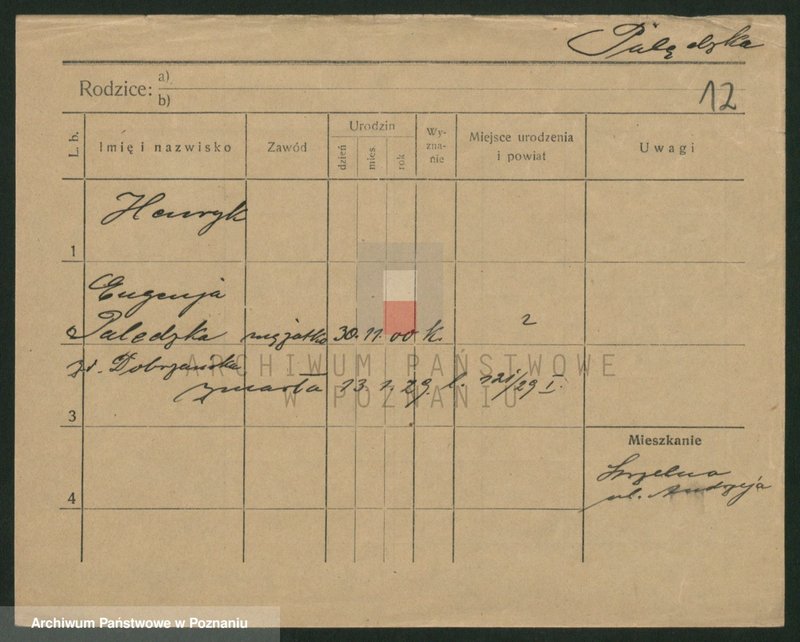 Obraz 12 z jednostki "Palecek - Paluszewski"