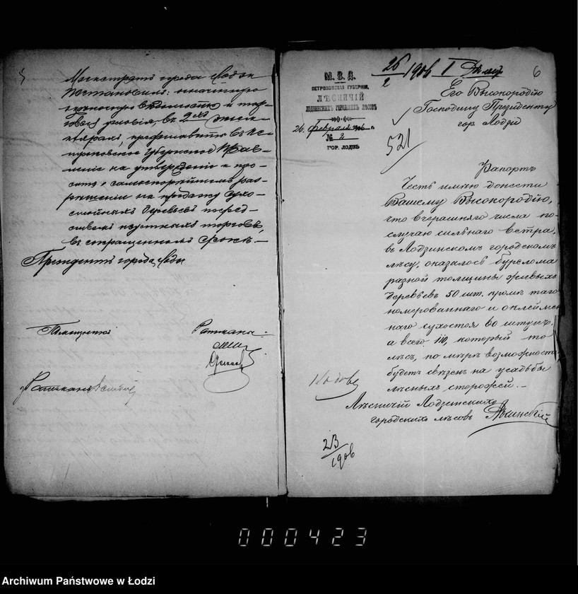 Obraz 8 z jednostki "O prodaže suchostoja i bureloma v gorodskich lesach"