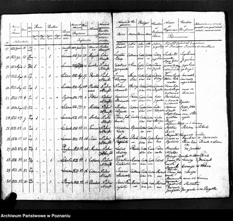 image.from.unit.number "Duplicatus baptisatorum"