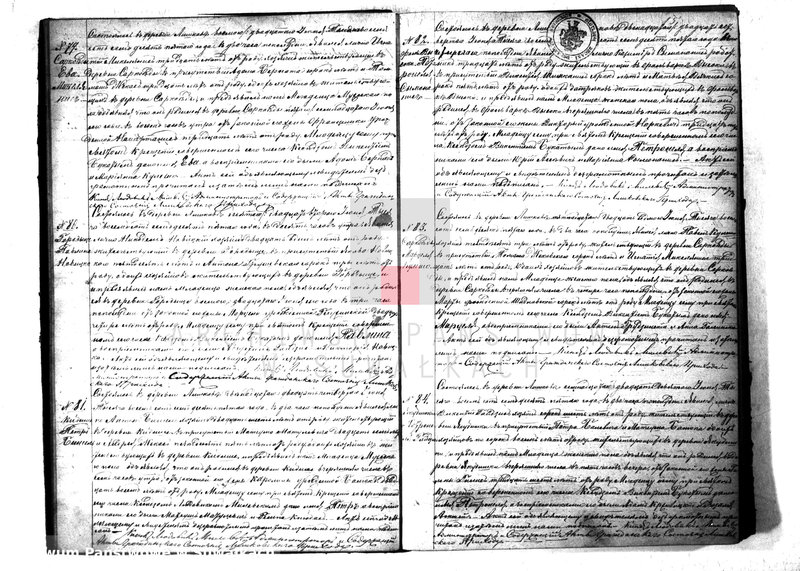 Obraz 18 z jednostki "Kniga Duplikat Rimsko- Katoličesko Liškovskago Prichoda na 1875 god"