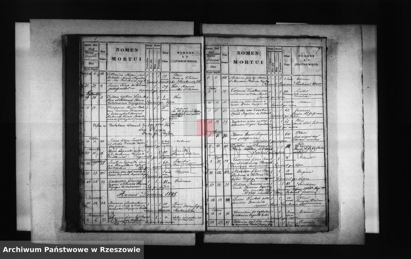 image.from.unit.number "Księga zgonów - Borek Stary"