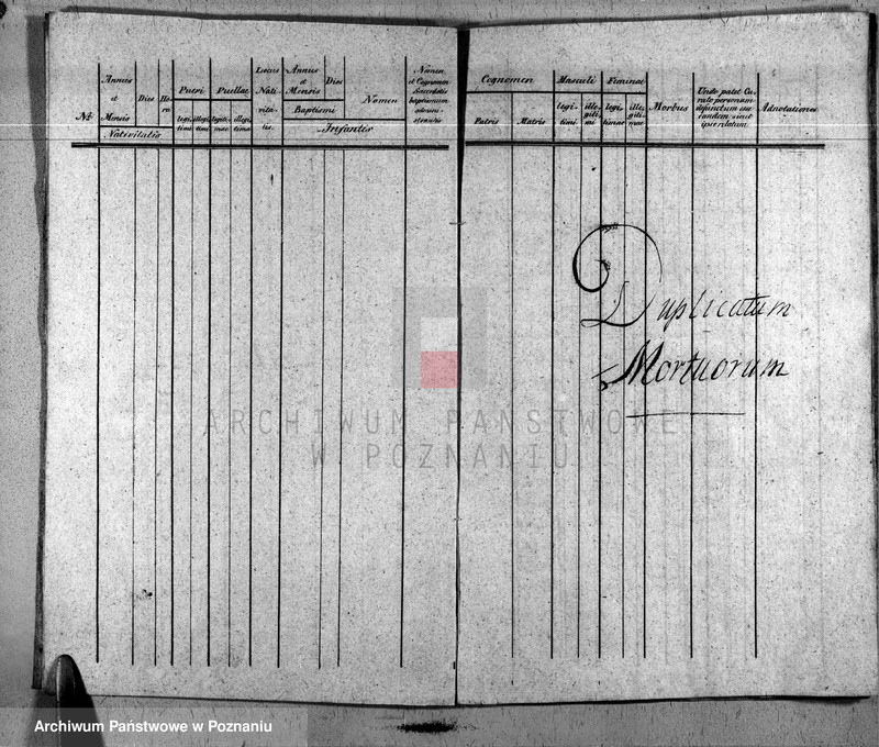 Obraz 5 z jednostki "Liber baptisatorum, copulatorum u. mortuorum"