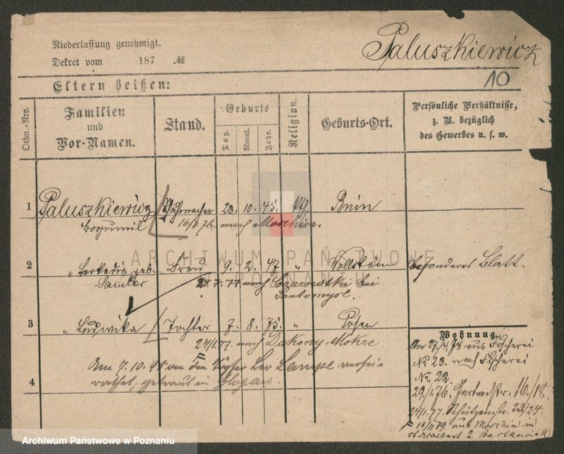 Obraz 10 z jednostki "Paluszkiewicz Pankow"