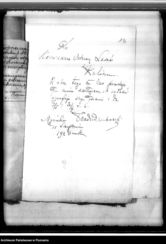 Obraz 17 z jednostki "Sprawa uzyskania zezwolenia na wyrąb jednorazowy 3 poręb w lesie majątku Mycielin powiat kaliski"