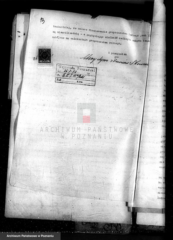 Obraz 17 z jednostki "Nadzór nad gospodarką w lasach majętności Torzeniec powiat kępiński"