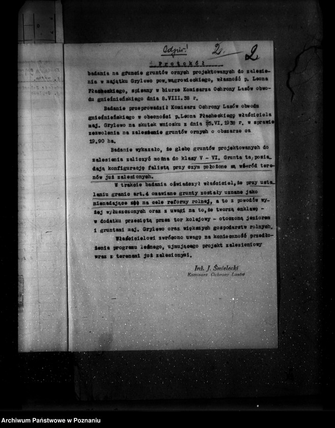 image.from.unit.number "Las majętności leśna Grylewo powiat wągrowiecki"