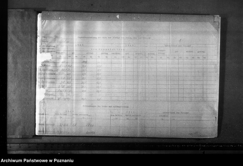 Obraz 5 z jednostki "Porównanie zbiorów zboża, słomy i siana"
