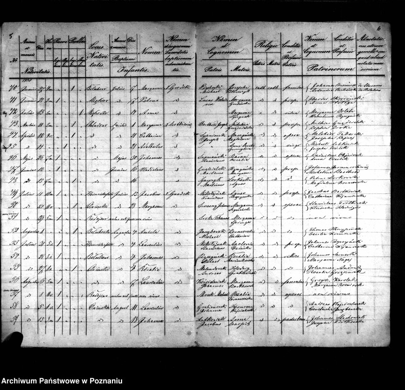 image.from.unit.number "Księga urodzeń"