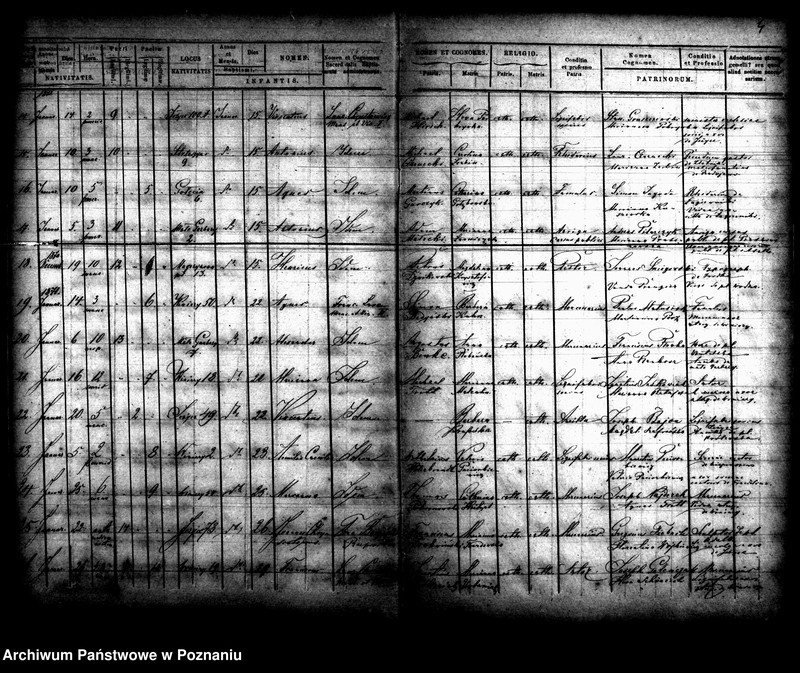 Obraz 4 z jednostki "Księga urodzin"