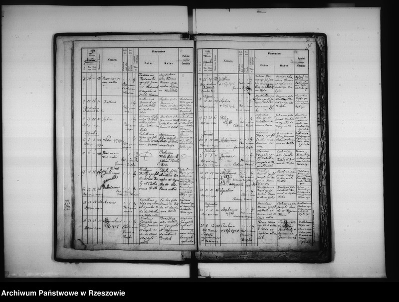 Obraz 17 z jednostki "Księga urodzeń - Łowisko"