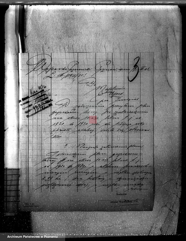 Obraz 7 z jednostki "Nadzór nad gospodarką w lasach majątku Ujazd powiat kościański"