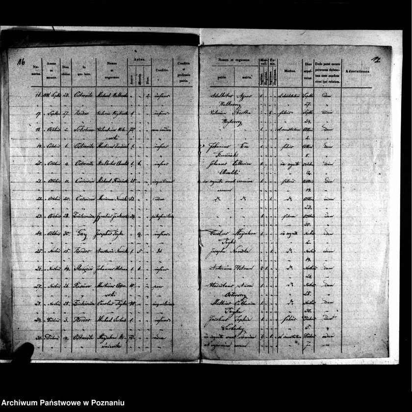 image.from.unit.number "Duplicatus baptisatorum, copulatorum, mortuorum"