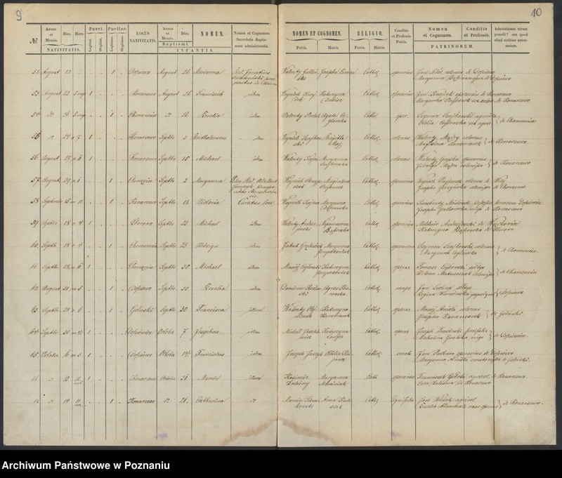 Obraz 8 z jednostki "Duplikat baptisatorum, copulatorum, mortuorum"