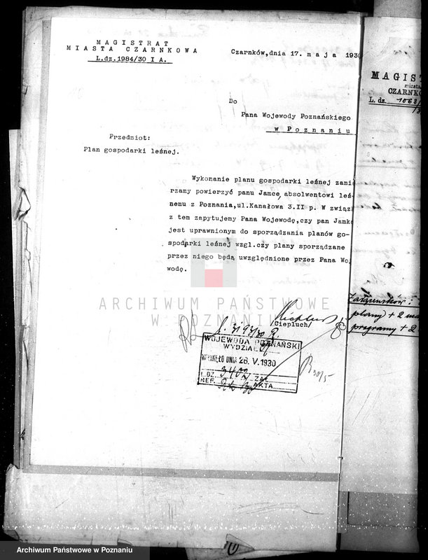 Obraz 14 z jednostki "Magistrat miasta Czarnkowa /nadzór nad gospodarką leśną/"