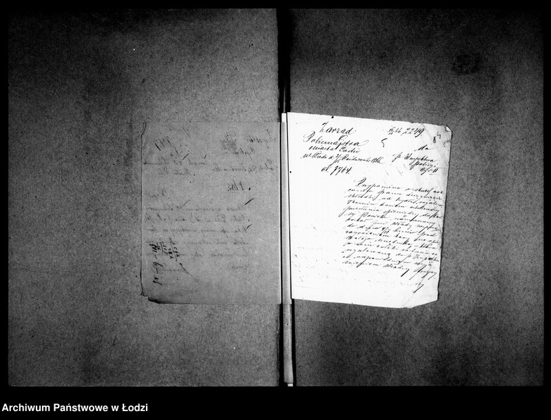 Obraz 7 z jednostki "Akta tyczące się bydła domowego"