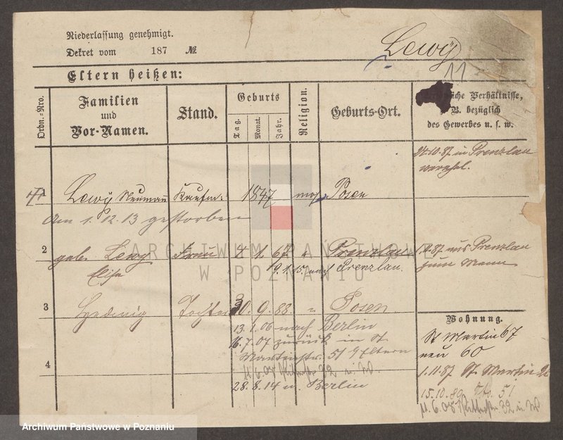 Obraz 12 z jednostki "Lewy - Libeke"