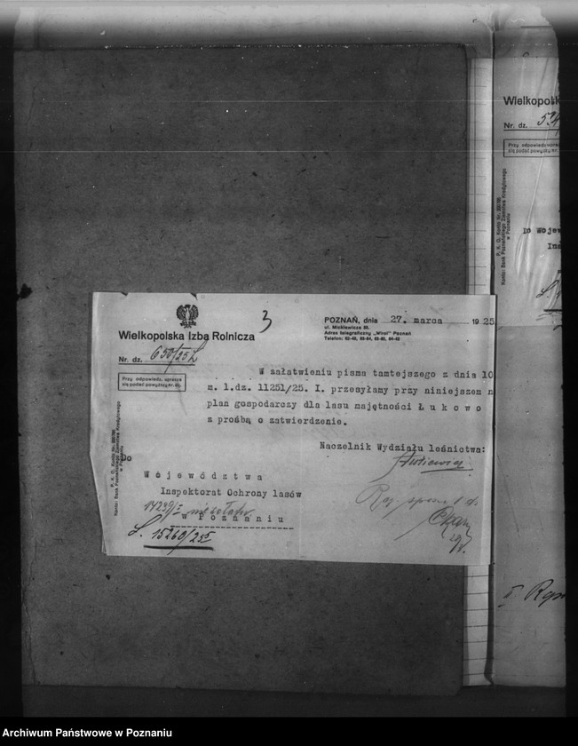 Obraz 7 z jednostki "Majętność leśna Łukowo powiat obornicki"