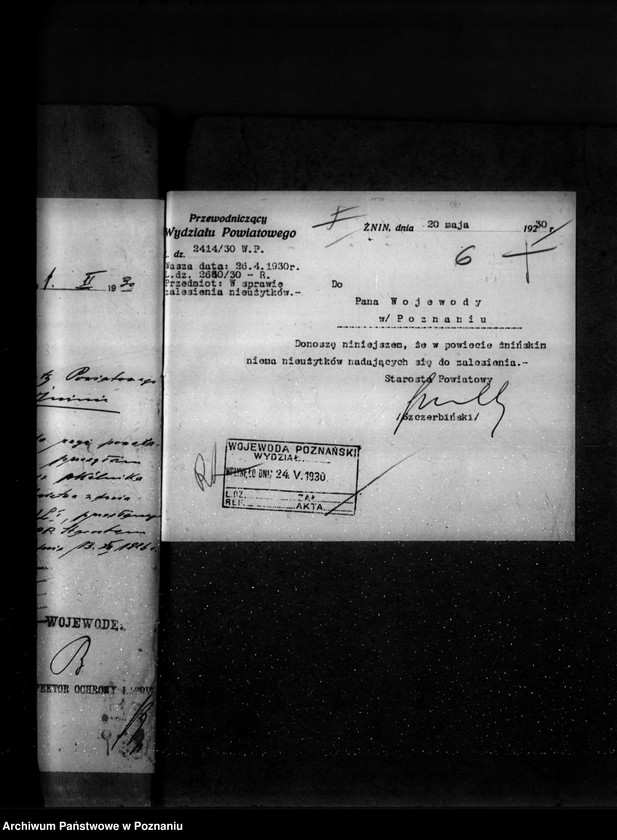 Obraz 10 z jednostki "Zalesienie nieużytków w powiecie żnińskim"