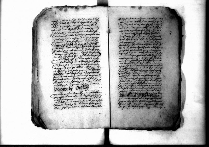 Obraz 13 z jednostki "Decreta iudicii [inducta]"