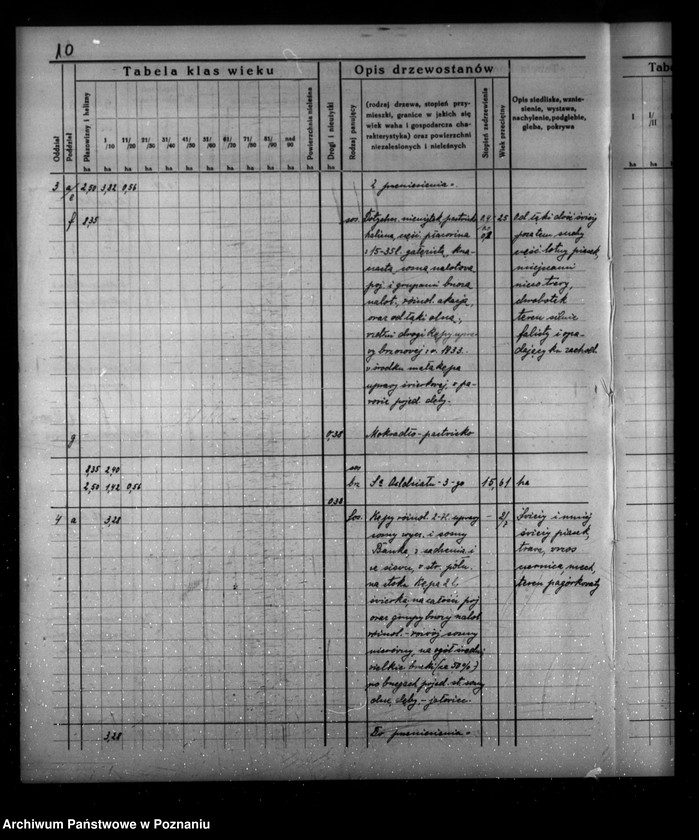 Obraz 14 z jednostki "Program urządzenia gospodarstwa leśnego dla lasu majątku Borowy-Młyn w powiecie międzychodzkim/"