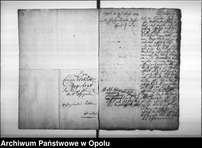 Obraz 17 z jednostki "Acta des Magistrats zu Oppeln betreffend die Legitimation unehelich erzeugter Kinder und Personen Vol. I"