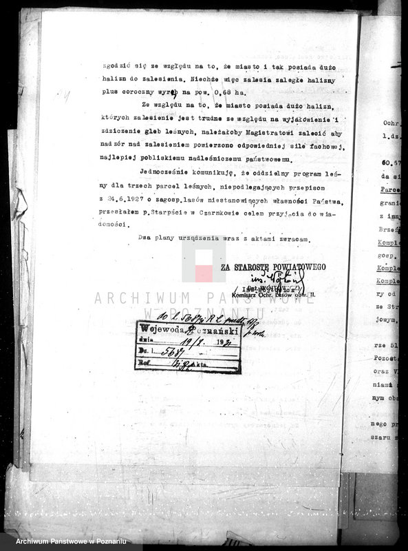 Obraz 18 z jednostki "Magistrat miasta Czarnkowa /nadzór nad gospodarką leśną/"