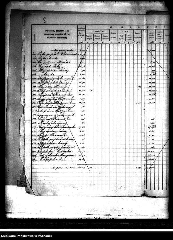 Obraz 12 z jednostki "/Rejestr pomiarowy dóbr Szczytniki powiat kaliski"