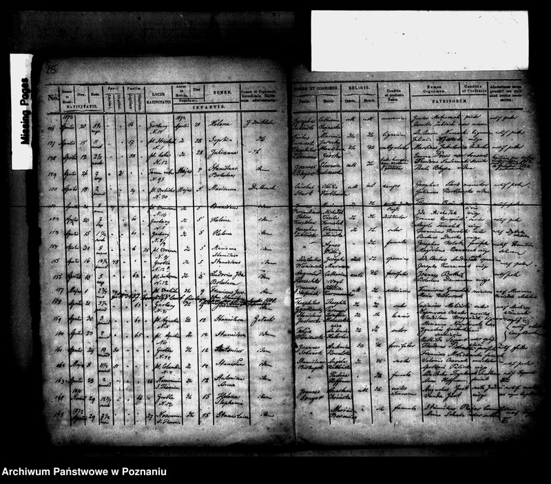 Obraz 13 z jednostki "Księga urodzin"