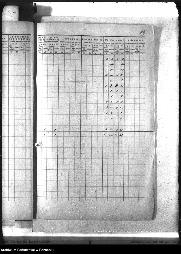 Obraz 17 z jednostki "Wykaz chorób zaraźliwych zwierząt"