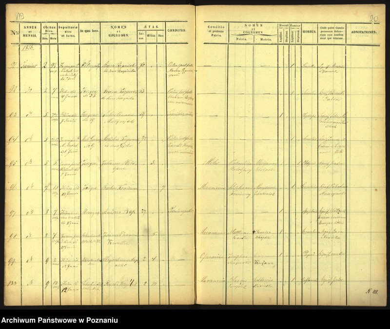 Obraz 13 z jednostki "Księga zgonów"