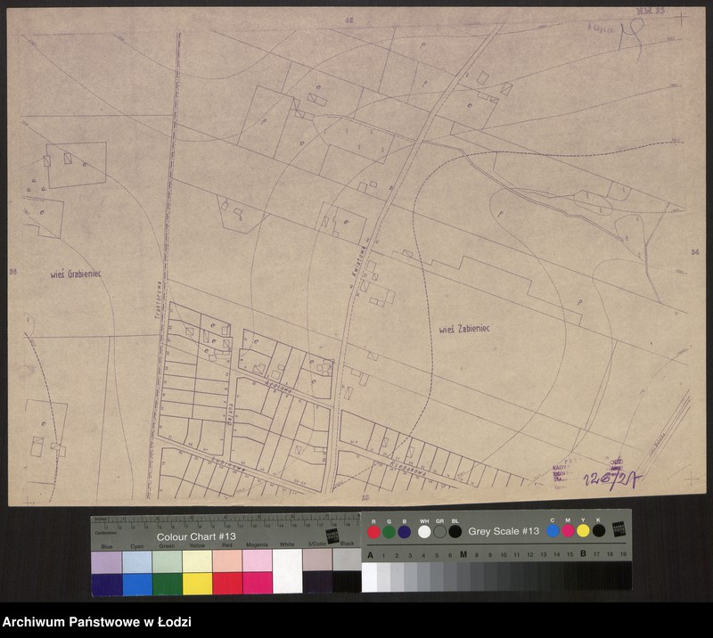 Obraz 1 z jednostki "Plan miasta Łodzi Sekcja NW 34"