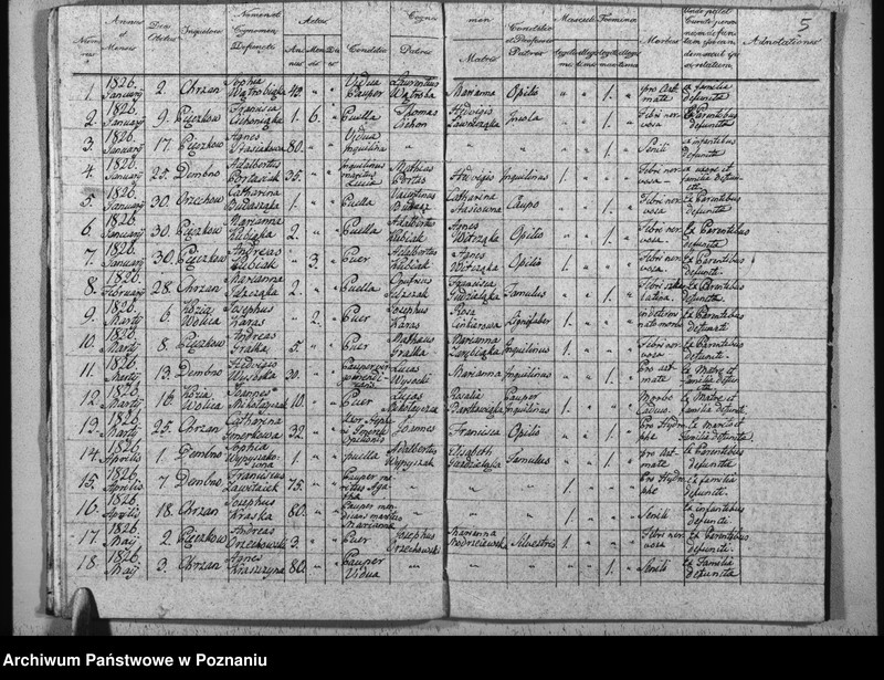 Obraz 11 z jednostki "Duplikat baptisatorum, copulatorum u. mortuorum"