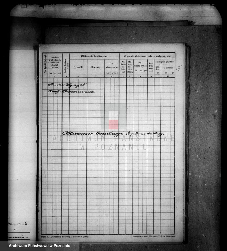 Obraz 9 z jednostki "Obliczenie bonitacji do planu dzielczego majątku Trzeciewnica wyrzyskiego"