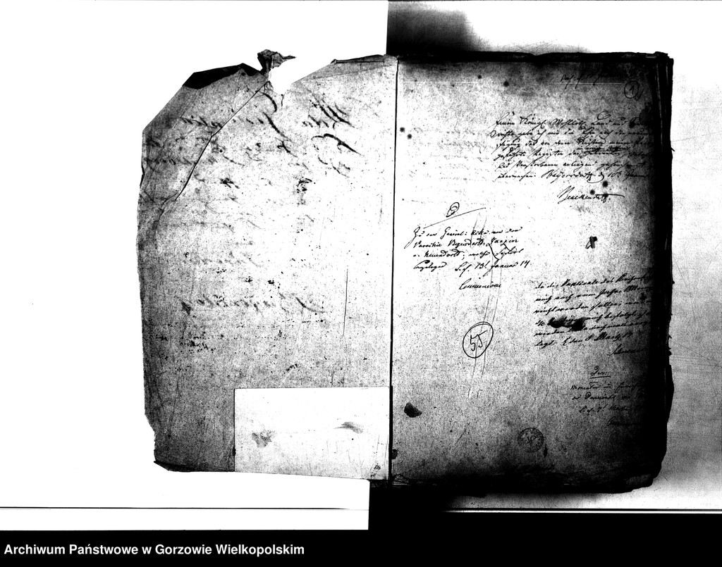 image.from.unit.number "Duplikate der Kirchenbücher von der Parochie Beyersdorf: Beyersdorf (Baczyna), Zanzin (Santocko), Loppow (Łupowo), Neuendorf (Chróścik)"