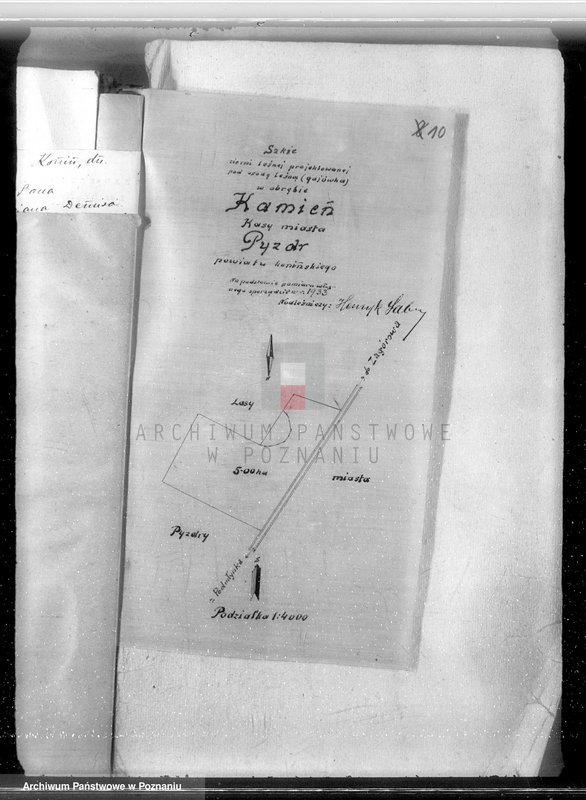 Obraz 14 z jednostki "Sprawa zmiany wydzielenia około 1300 ha gruntów leśnych w lasach miasta Pyzdry ewentualnie z przymusową likwidacją serwitutów wsi Holendry Pyzderskie"