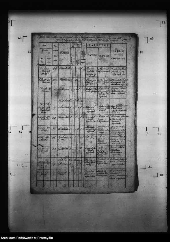 Obraz 16 z jednostki "[Kopie ksiąg metrykalnych parafii Miżyniec z filiami Gdeszyce, Zrotowice (dekanat Niżankowice)]"