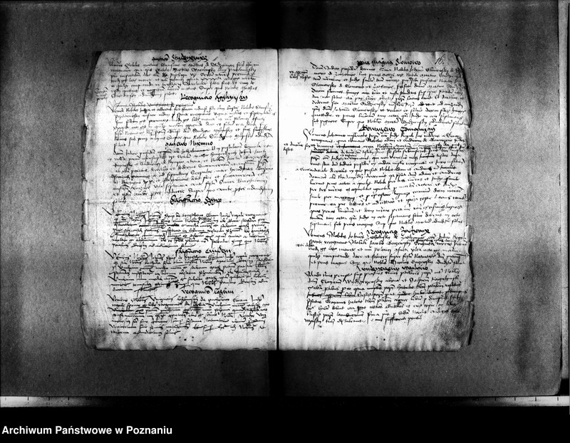 Obraz 20 z jednostki "Resignationes ,inscriptiones, relationes, decreta [protocollon]"