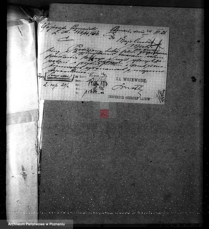 Obraz 9 z jednostki "Majętność leśna w Mielnie w powiecie gnieźnieńskim"