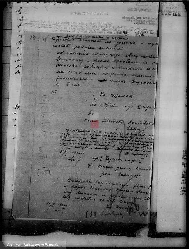 Obraz 19 z jednostki "Wyłączenie obszarów leśnych majątku Morawin powiat kaliski"