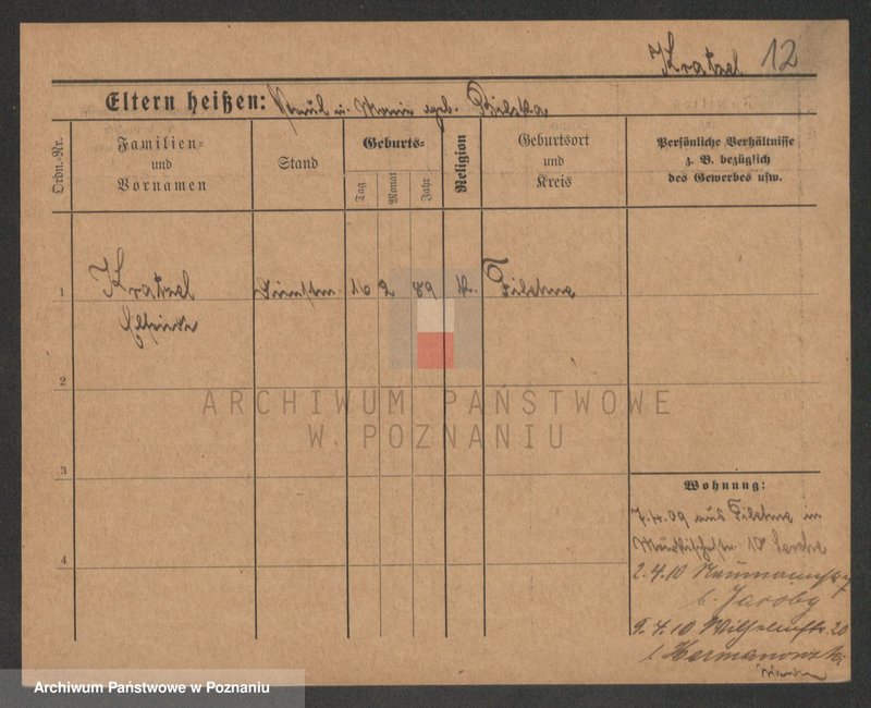 Obraz 12 z jednostki "Krabel - Krajewski"