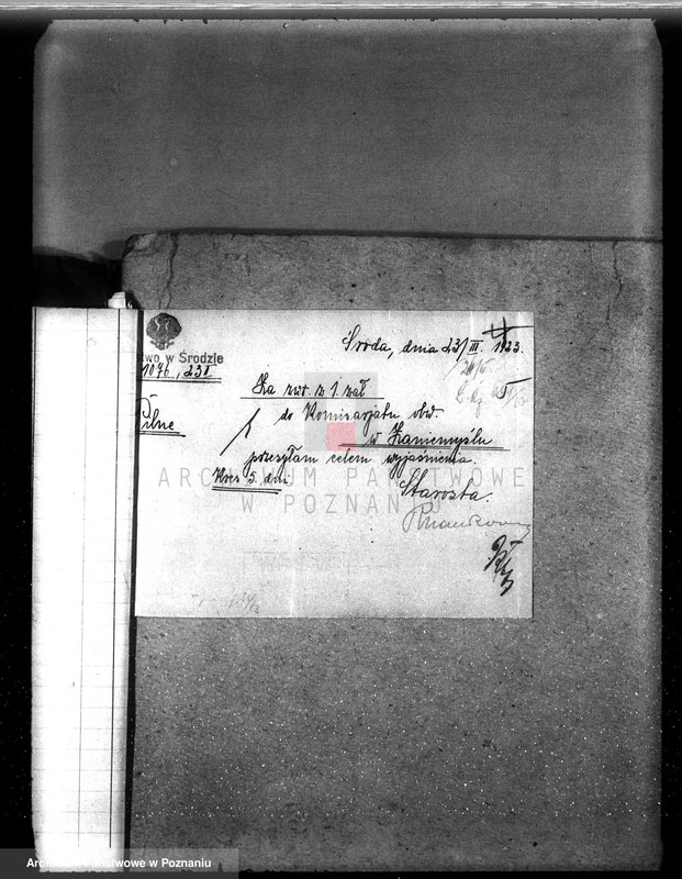 Obraz 9 z jednostki "Nadzór nad gospodarką w lasach majętności Borowo powiat średzki"