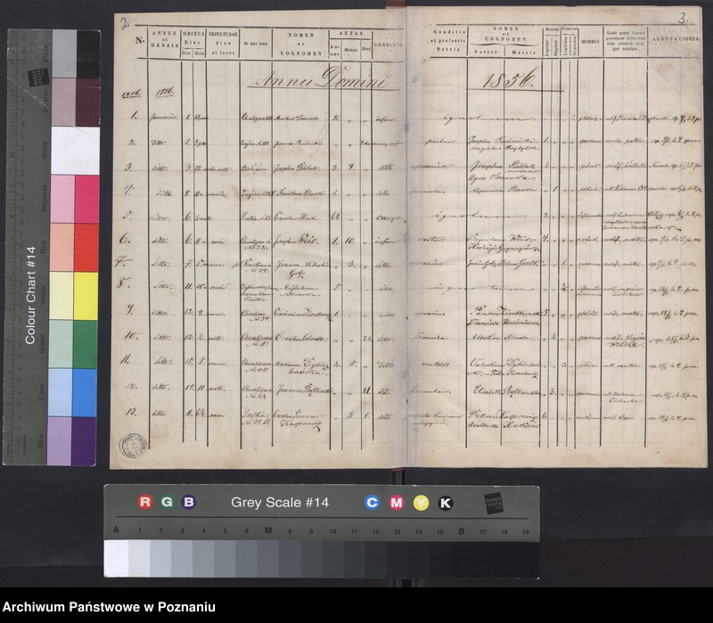 Obraz 4 z jednostki "Księga zgonów"