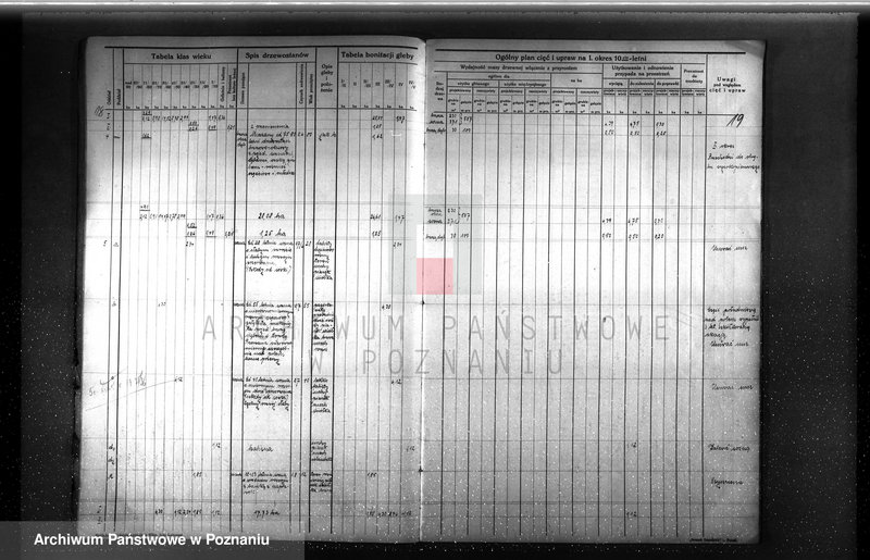 image.from.unit.number "Plan urządzenia gospodarstwa leśnego dla lasu majętności Rudki w powiecie szamotulskim 1929-1939"