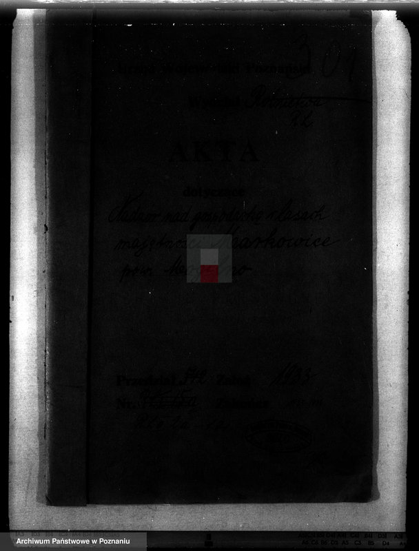 Obraz 4 z jednostki "Nadzór nad gospodarką w lasach majętności Markowice powiat mogileński"