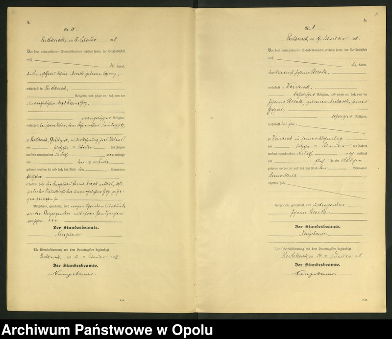 Obraz 8 z jednostki "Geburts-Register (Neben-Register) Standesamt Roschkowitz 1911 No.1 bis 49"