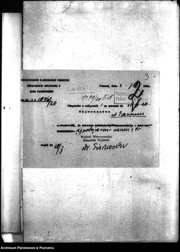 Obraz 7 z jednostki "Nosacizna - Szubin"