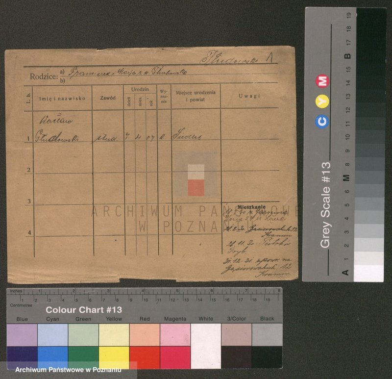 Obraz 1 z jednostki "Płudowski - Poczwardowski"